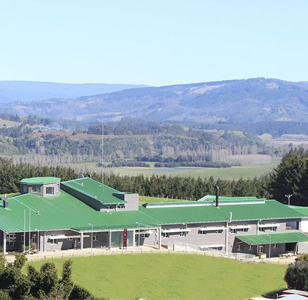 Clarico-3 Columns Style 5